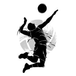 Boys' Volleyball  Product Image