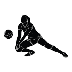 Girls Volleyball  Product Image